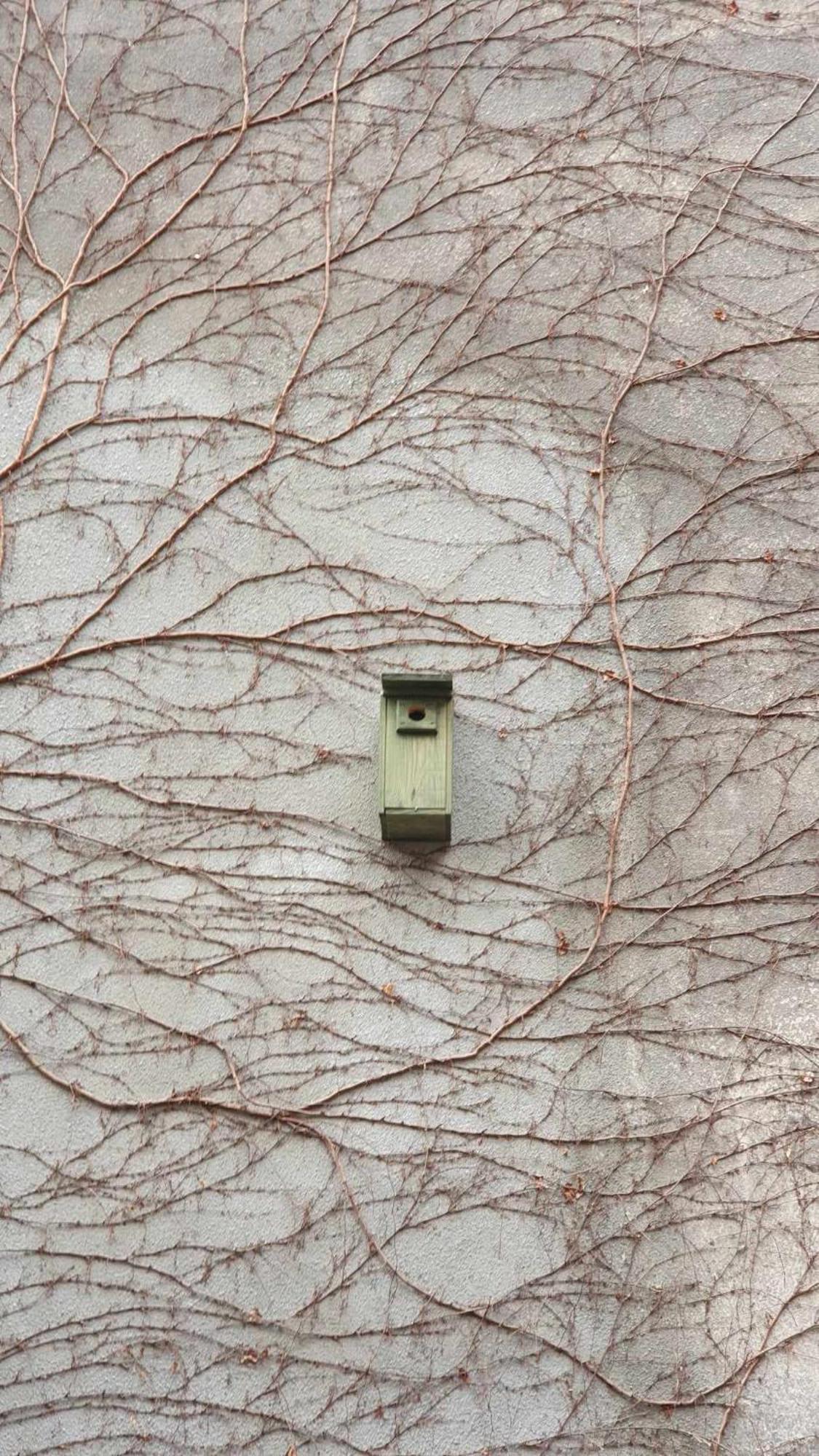 Poezja Lägenhet Lublin Exteriör bild