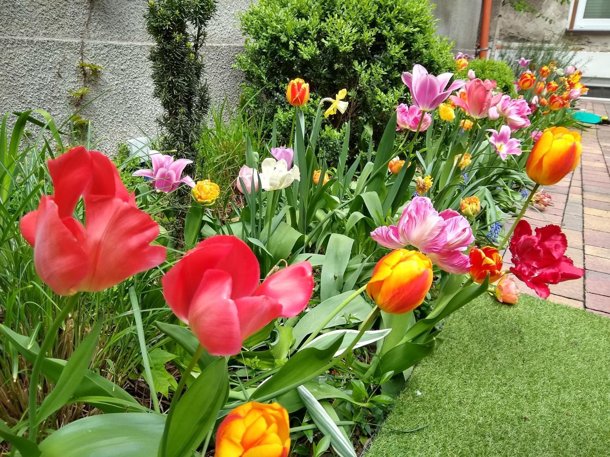 Poezja Lägenhet Lublin Exteriör bild